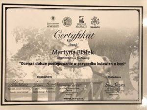 Certyfikat10