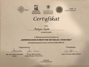 Certyfikat4