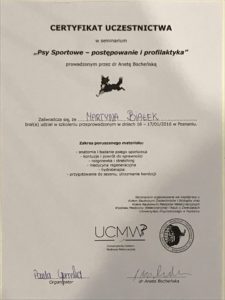 Certyfikat9