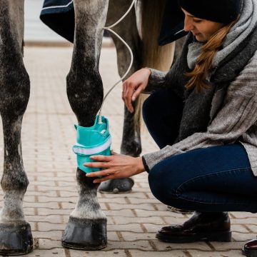 Magnetoterapia – działanie biologiczne