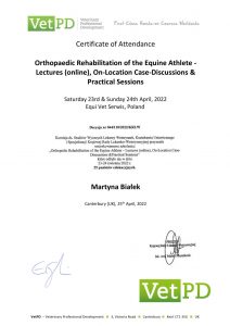 Orthopaedic Reb for Equine Practitioners